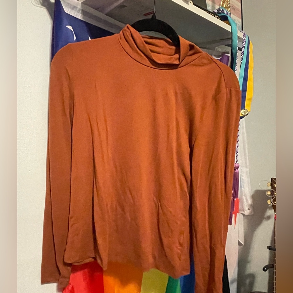 2 Turtle neck tops. Free Shipping. In good condition, must go or best offer